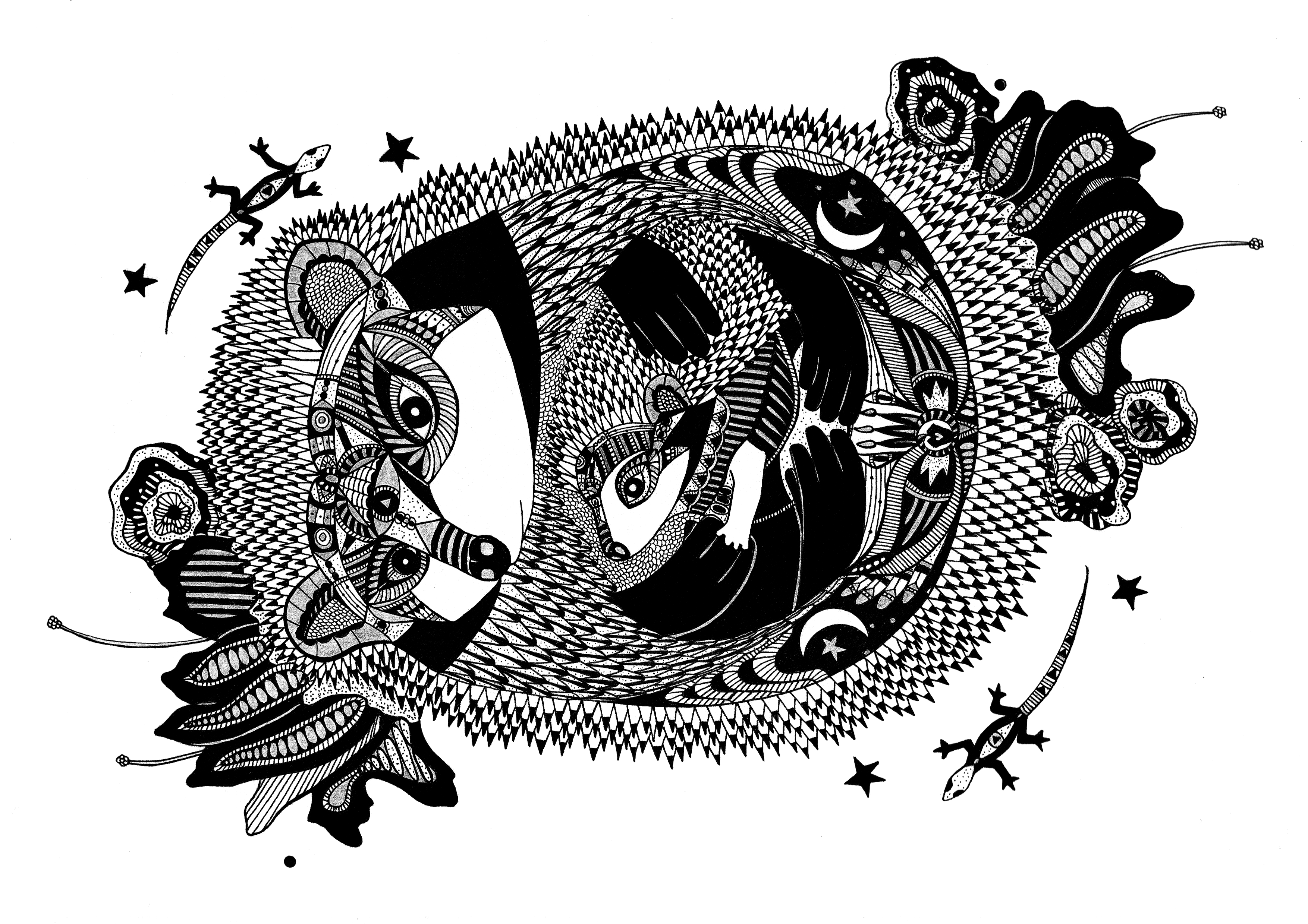 Hedgehogs