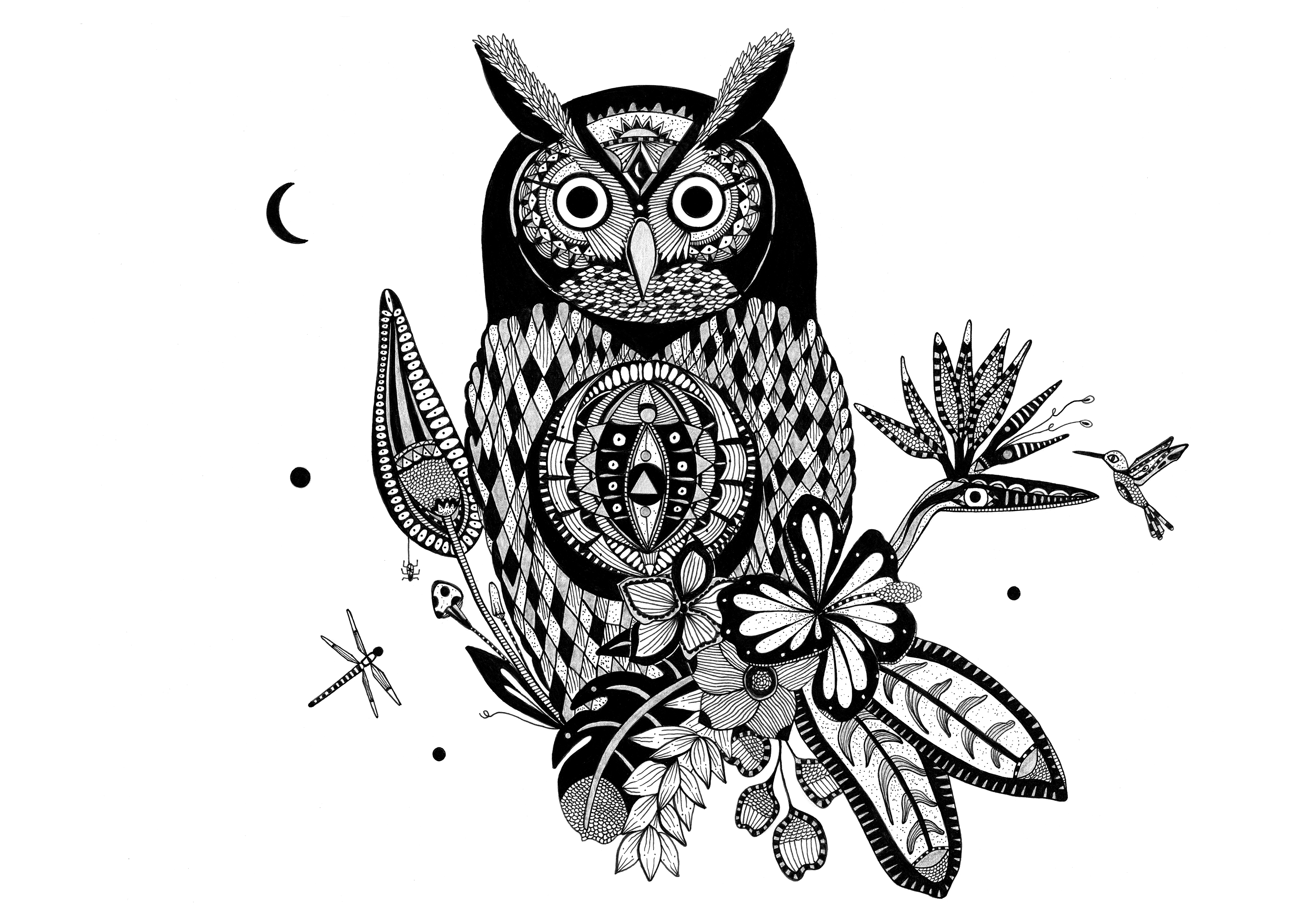 Owl