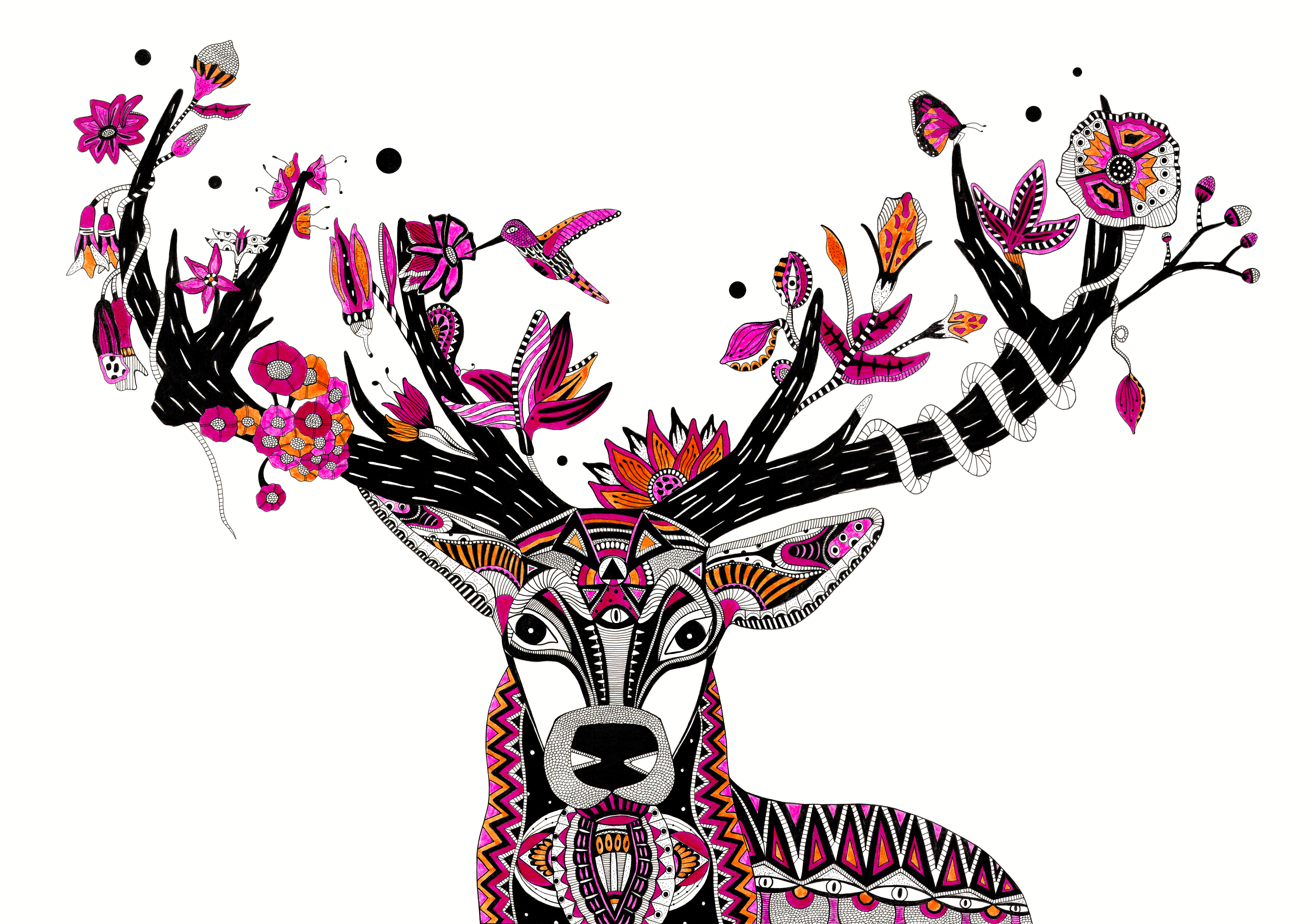 The deer