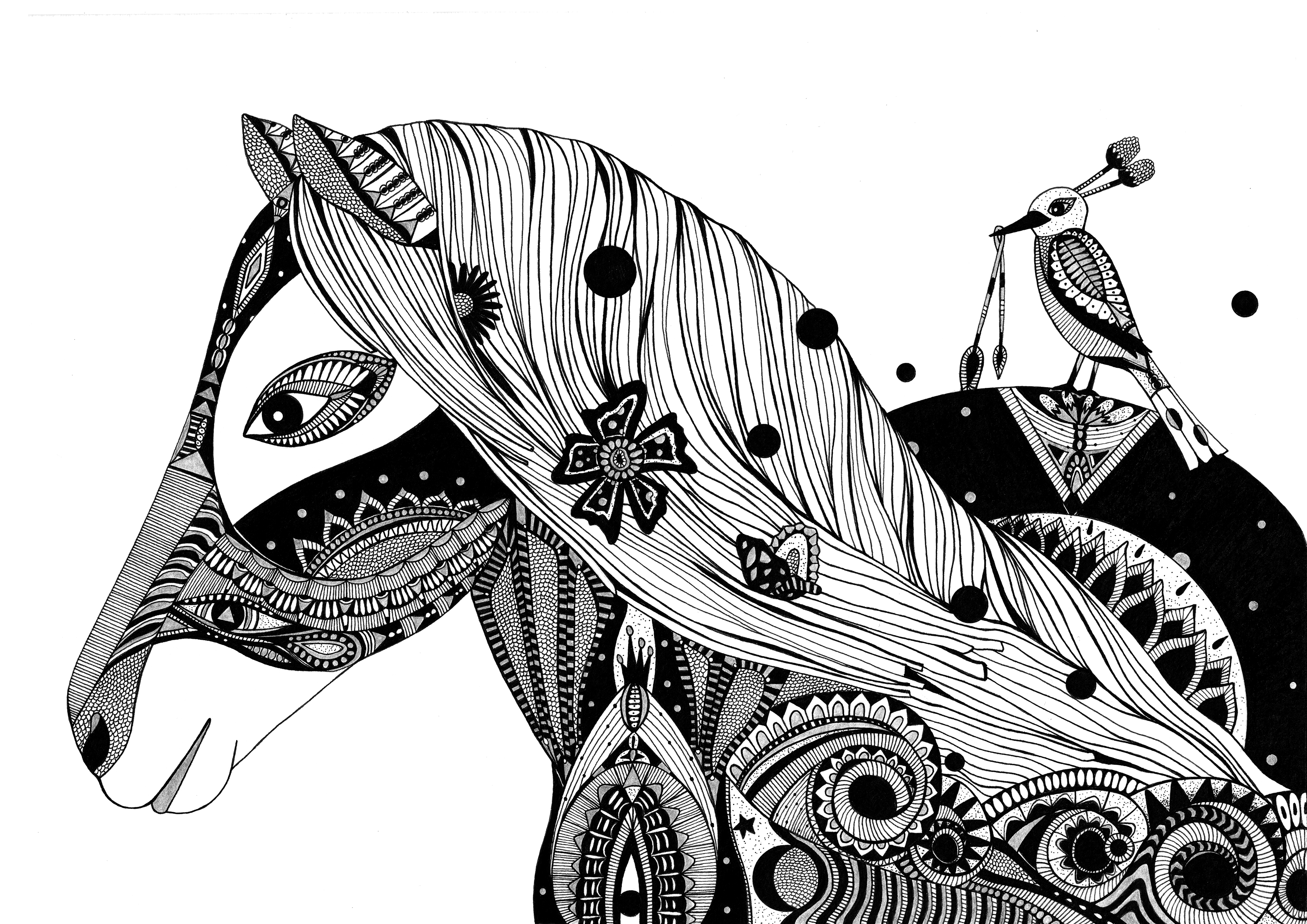 The horse